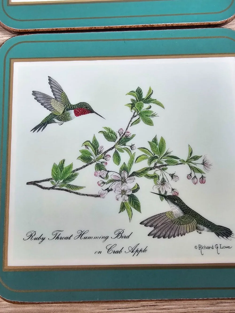 Pimpernel Coasters Set of 6 Birds Cork Back Green Richard G Lowe Made in England